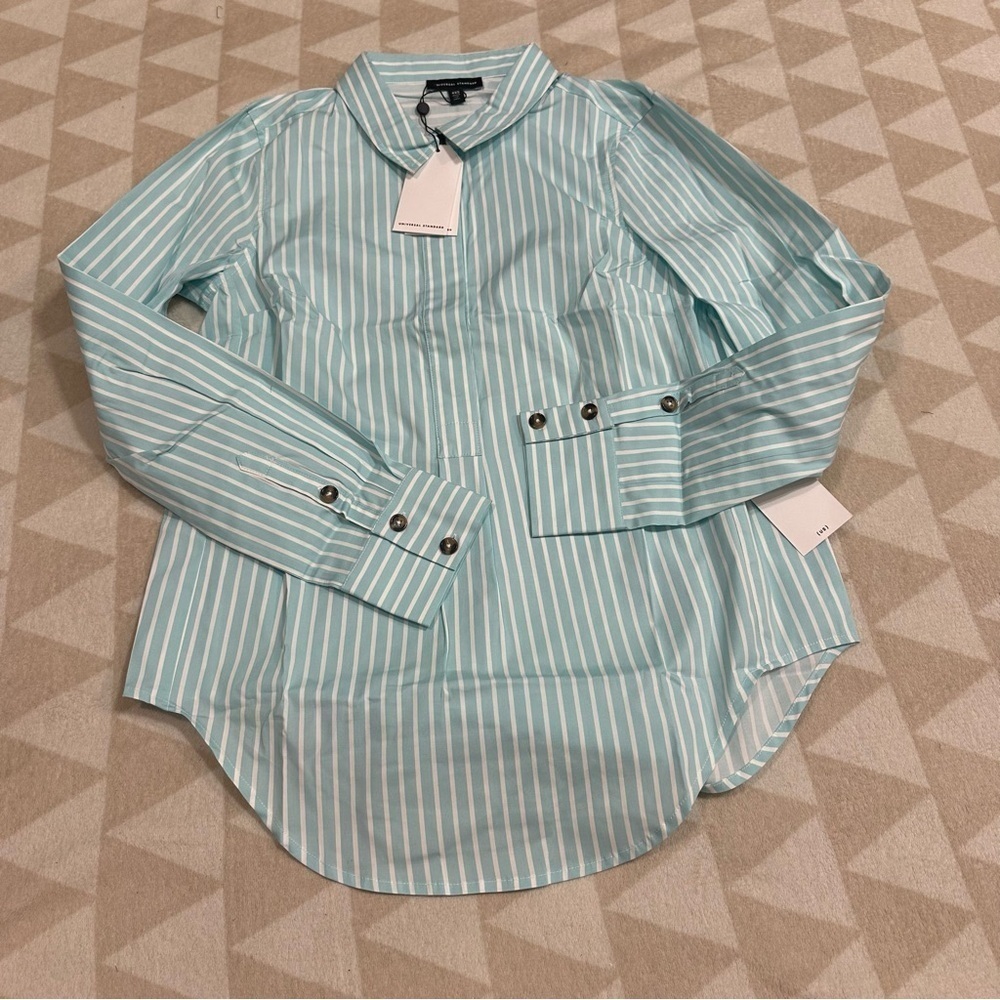 Universal standard mint stripe collared button down shirt